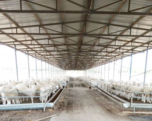 郑州客户订购300型猪饲料颗粒机案例